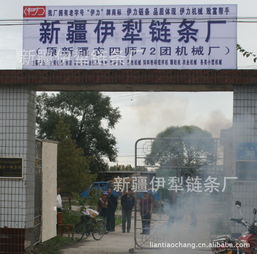 新疆伊犁鏈條廠 立足邊疆，服務(wù)農(nóng)業(yè)的鏈條專家
